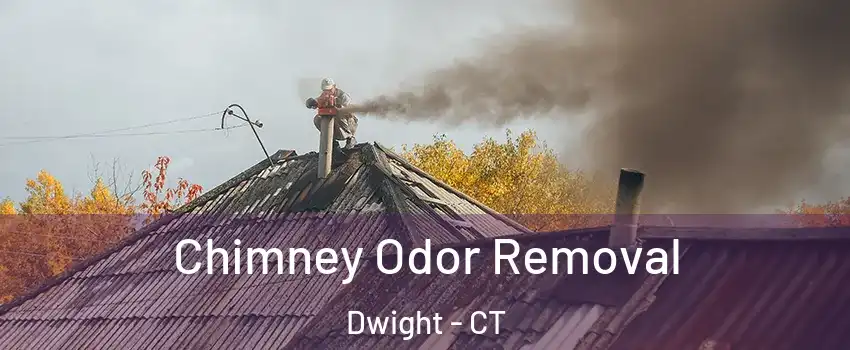 Chimney Odor Removal Dwight - CT