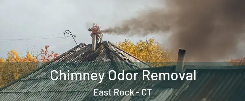 Chimney Odor Removal East Rock - CT