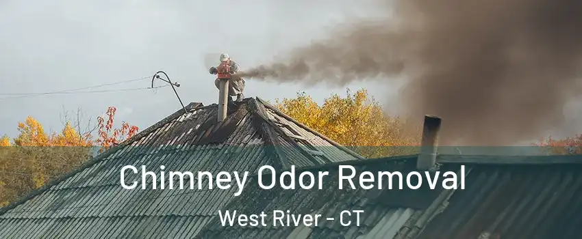 Chimney Odor Removal West River - CT