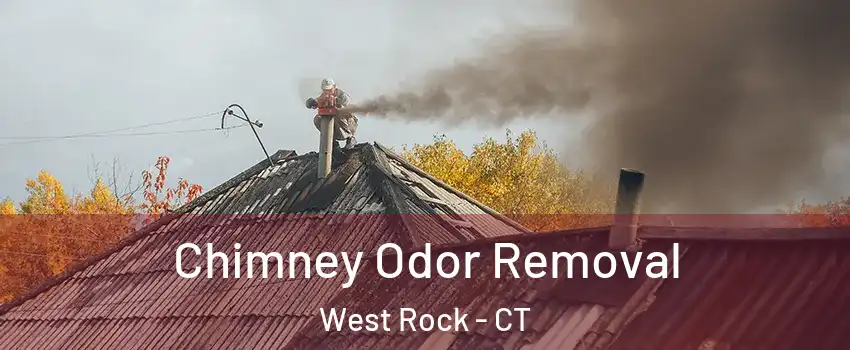 Chimney Odor Removal West Rock - CT