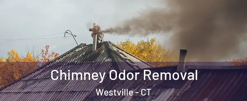 Chimney Odor Removal Westville - CT