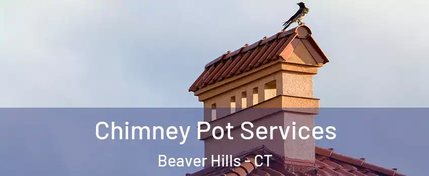 Chimney Pot Services Beaver Hills - CT