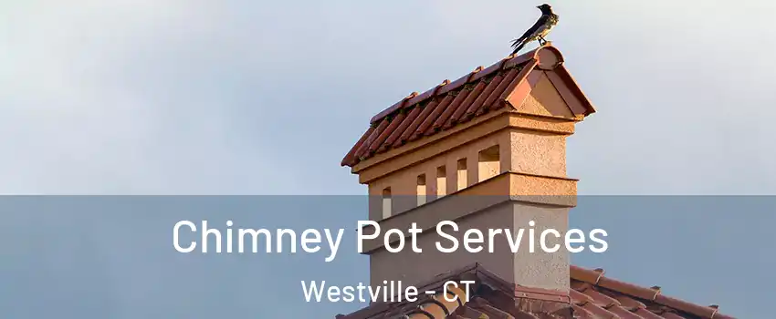Chimney Pot Services Westville - CT