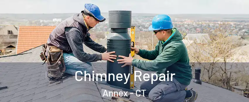 Chimney Repair Annex - CT