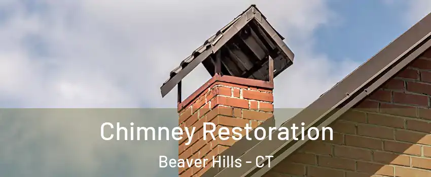 Chimney Restoration Beaver Hills - CT