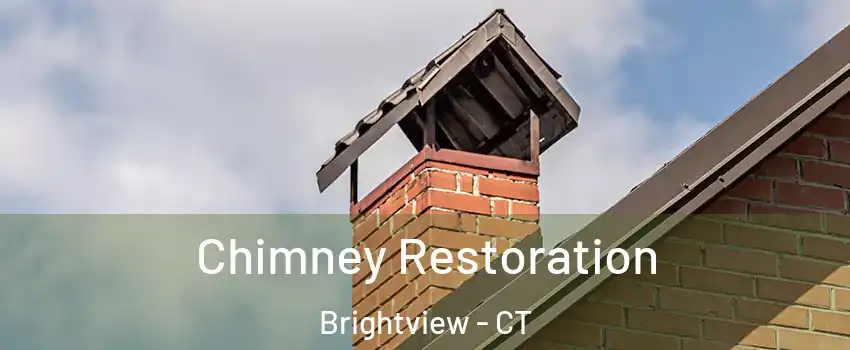 Chimney Restoration Brightview - CT