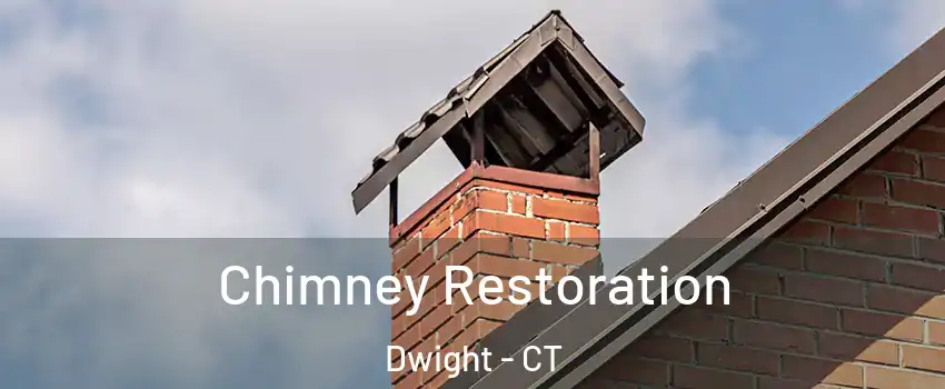Chimney Restoration Dwight - CT