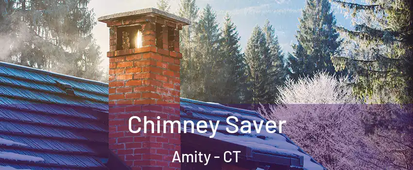 Chimney Saver Amity - CT