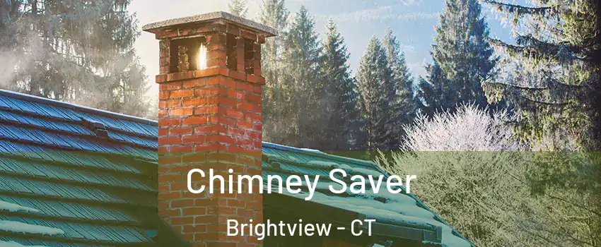 Chimney Saver Brightview - CT