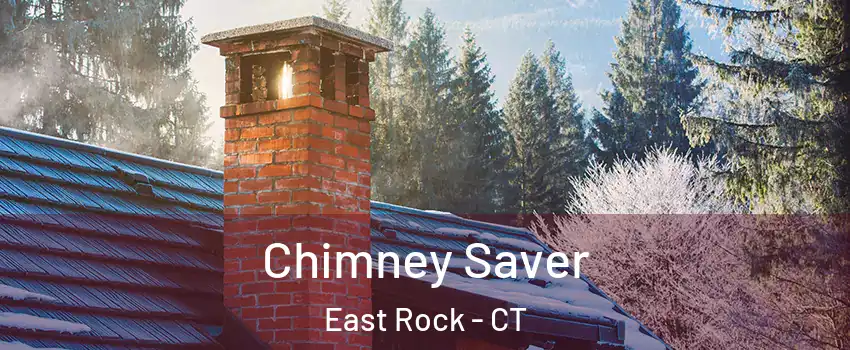 Chimney Saver East Rock - CT