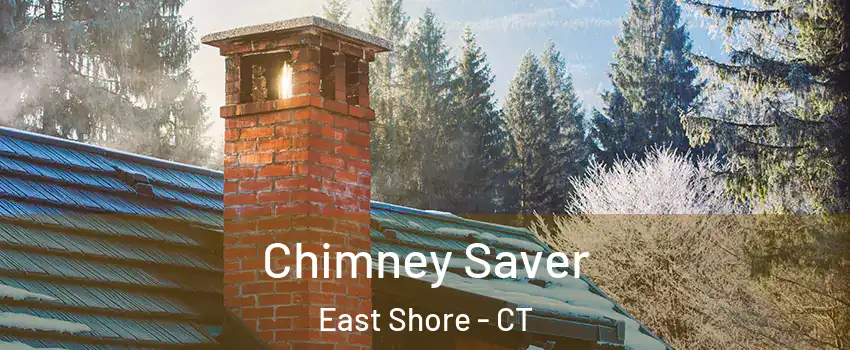 Chimney Saver East Shore - CT