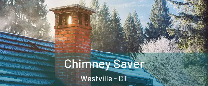 Chimney Saver Westville - CT
