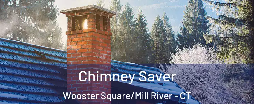 Chimney Saver Wooster Square/Mill River - CT
