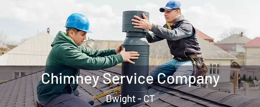 Chimney Service Company Dwight - CT
