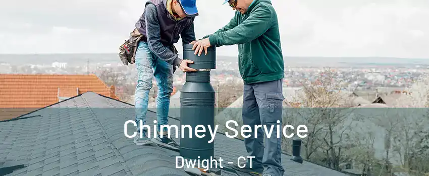 Chimney Service Dwight - CT