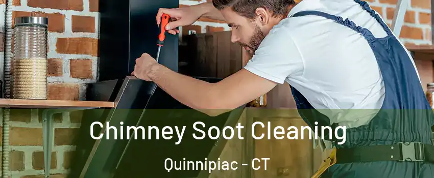 Chimney Soot Cleaning Quinnipiac - CT