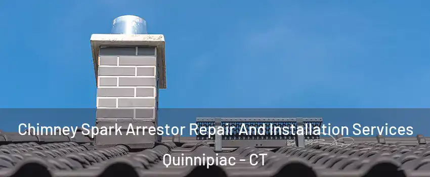 Chimney Spark Arrestor Repair And Installation Services Quinnipiac - CT