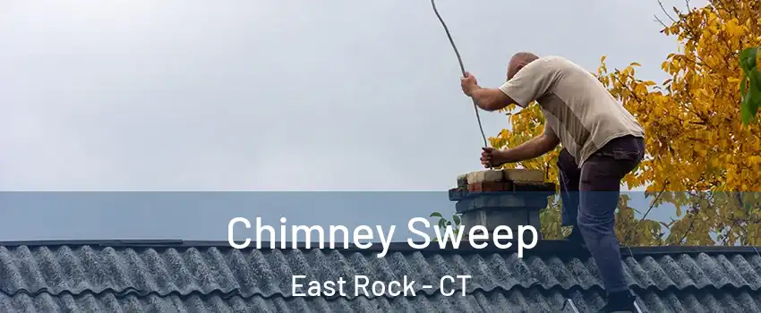 Chimney Sweep East Rock - CT