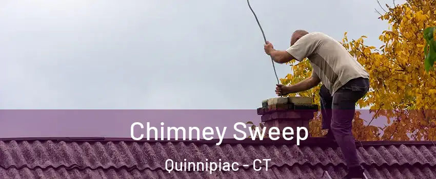 Chimney Sweep Quinnipiac - CT