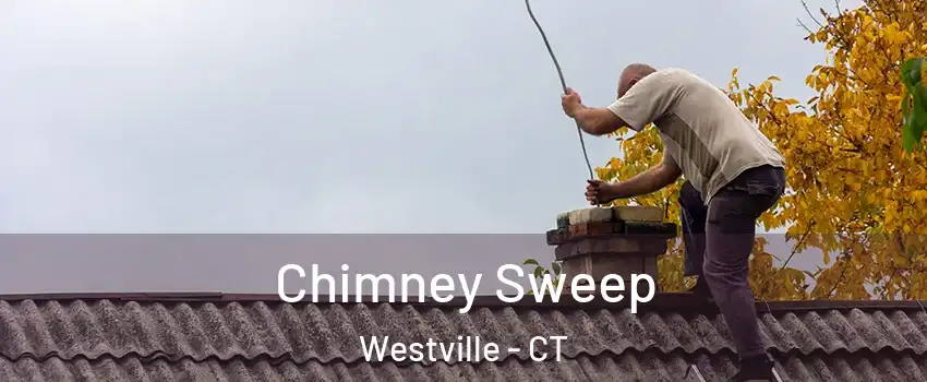 Chimney Sweep Westville - CT