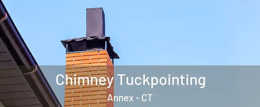 Chimney Tuckpointing Annex - CT