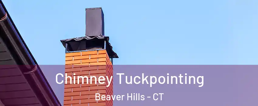 Chimney Tuckpointing Beaver Hills - CT