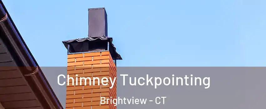 Chimney Tuckpointing Brightview - CT