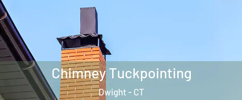 Chimney Tuckpointing Dwight - CT