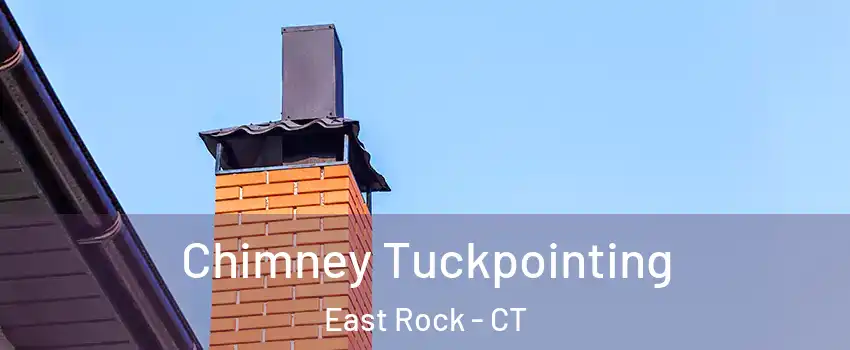 Chimney Tuckpointing East Rock - CT