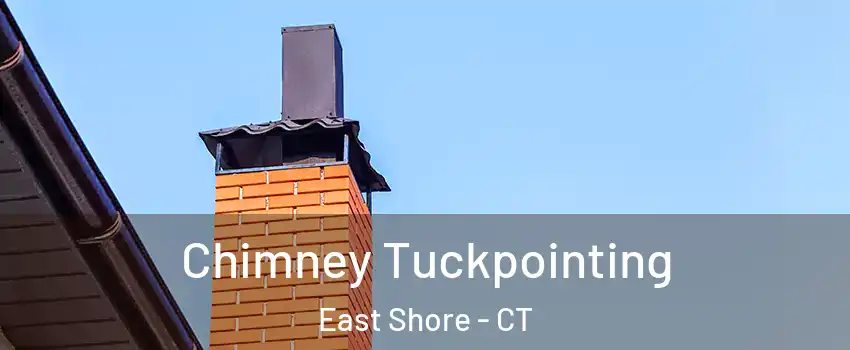 Chimney Tuckpointing East Shore - CT