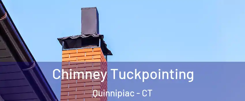 Chimney Tuckpointing Quinnipiac - CT