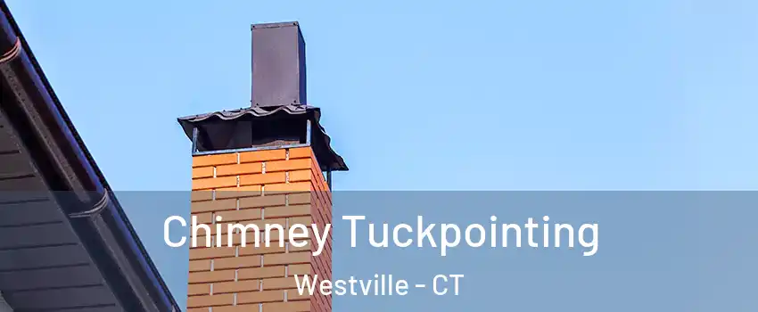 Chimney Tuckpointing Westville - CT