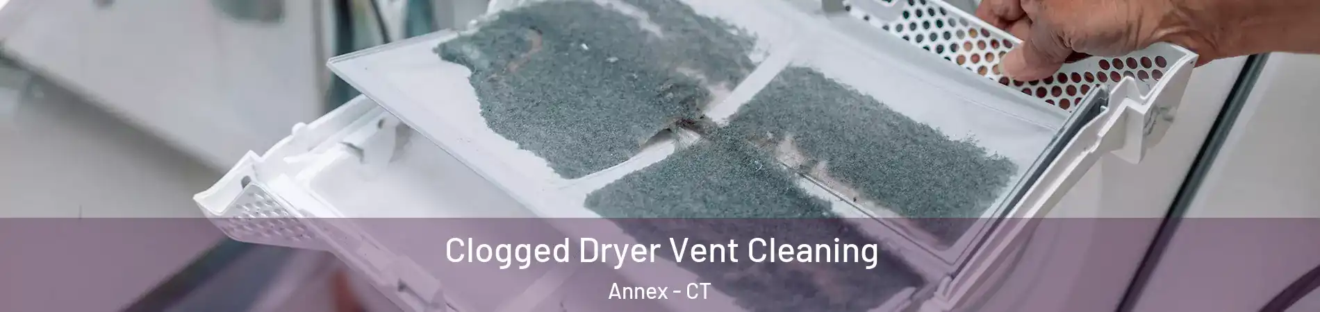 Clogged Dryer Vent Cleaning Annex - CT