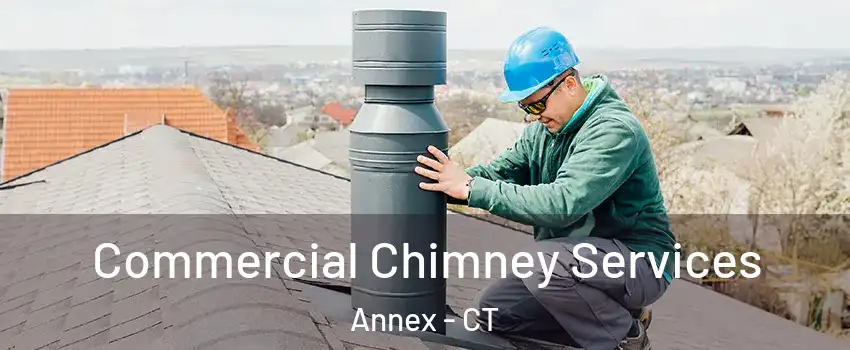 Commercial Chimney Services Annex - CT
