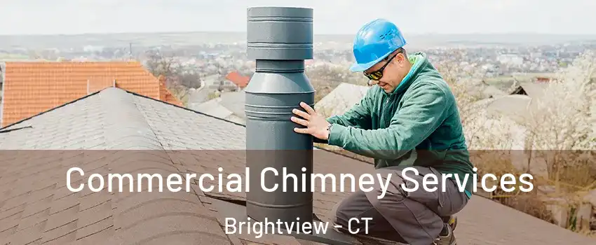 Commercial Chimney Services Brightview - CT