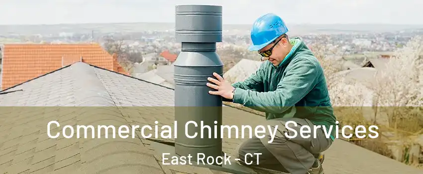 Commercial Chimney Services East Rock - CT