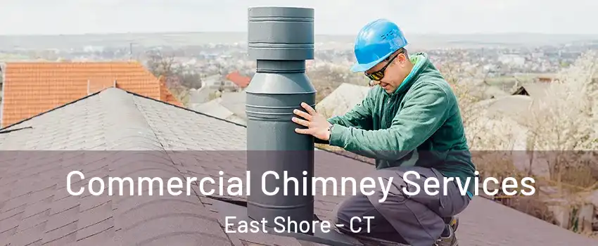 Commercial Chimney Services East Shore - CT
