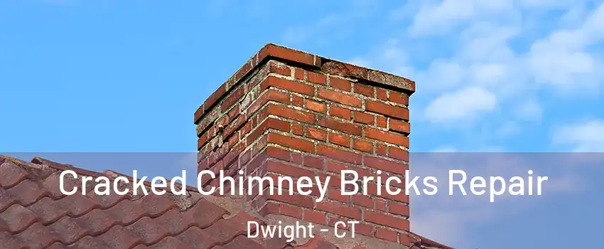 Cracked Chimney Bricks Repair Dwight - CT