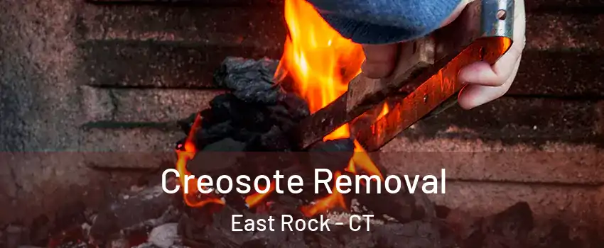 Creosote Removal East Rock - CT
