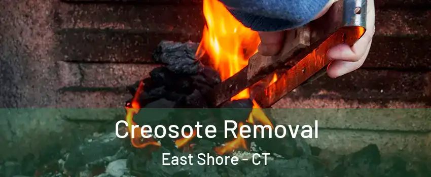 Creosote Removal East Shore - CT