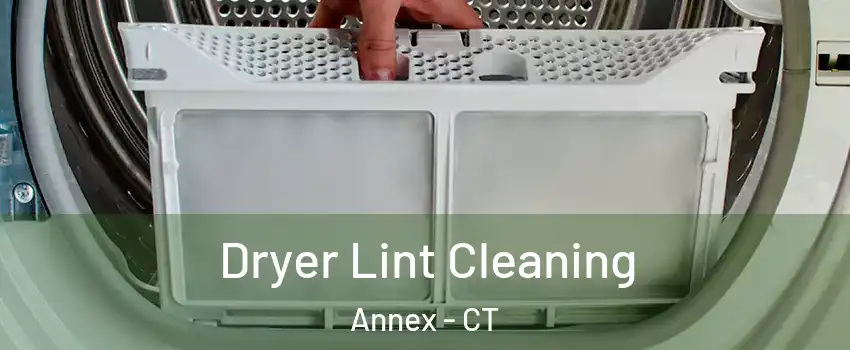 Dryer Lint Cleaning Annex - CT