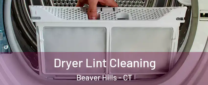Dryer Lint Cleaning Beaver Hills - CT