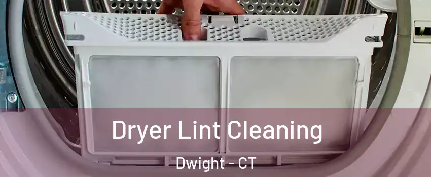 Dryer Lint Cleaning Dwight - CT