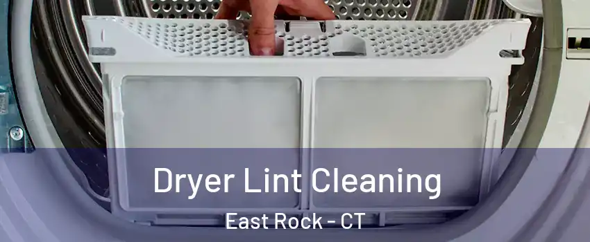 Dryer Lint Cleaning East Rock - CT