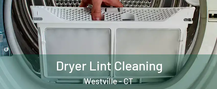 Dryer Lint Cleaning Westville - CT