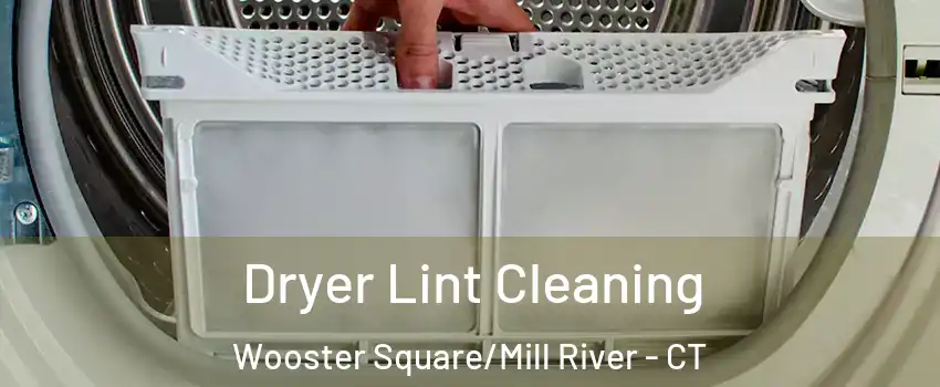 Dryer Lint Cleaning Wooster Square/Mill River - CT