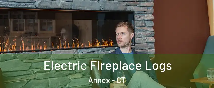 Electric Fireplace Logs Annex - CT