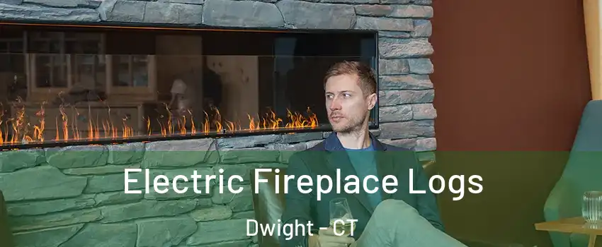 Electric Fireplace Logs Dwight - CT