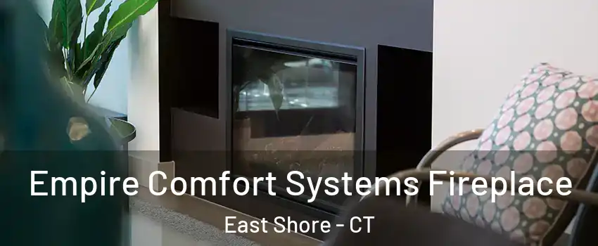 Empire Comfort Systems Fireplace East Shore - CT