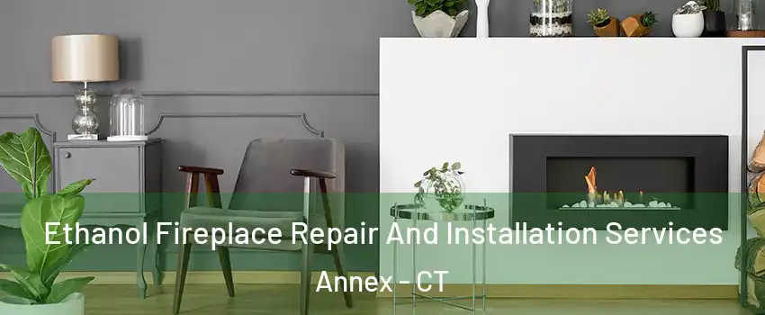 Ethanol Fireplace Repair And Installation Services Annex - CT